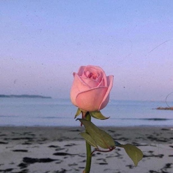 Meet your Posher, Aliyah - Picture 1 of 1